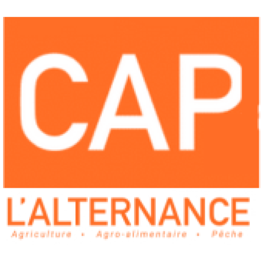 capverslalternance